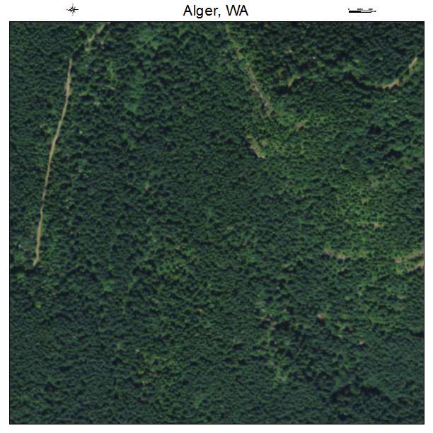 Alger, Washington aerial imagery detail