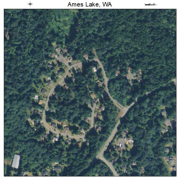 Ames Lake, Washington aerial imagery detail