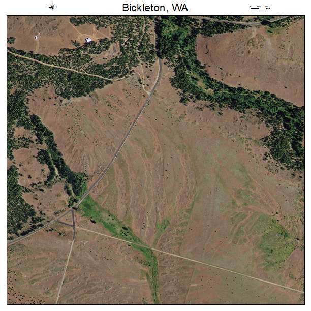 Bickleton, Washington aerial imagery detail