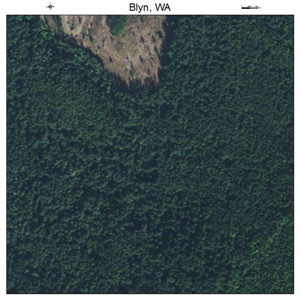 Blyn, Washington aerial imagery detail