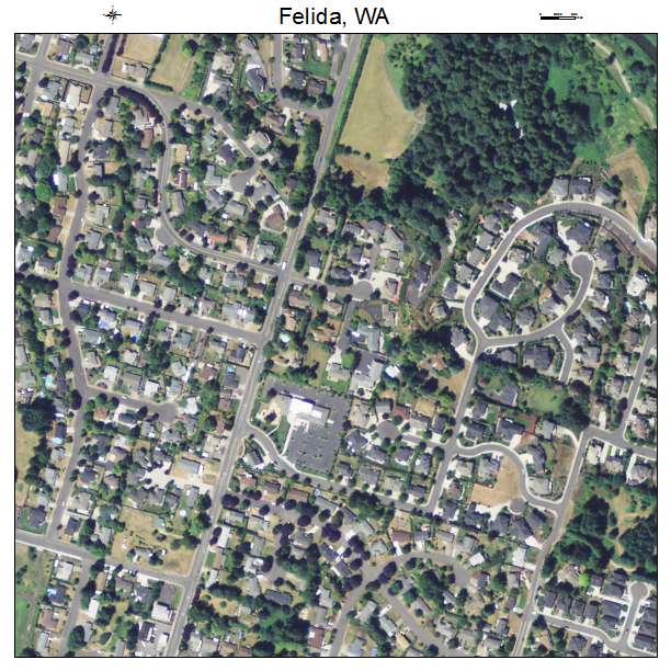 Felida, Washington aerial imagery detail