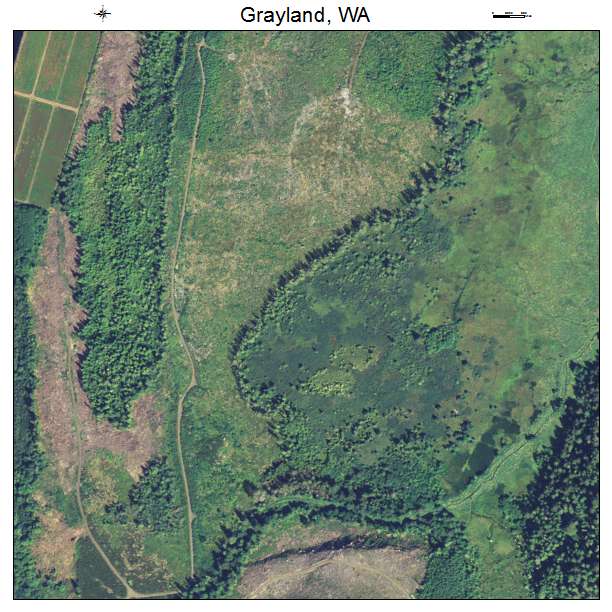 Grayland, Washington aerial imagery detail