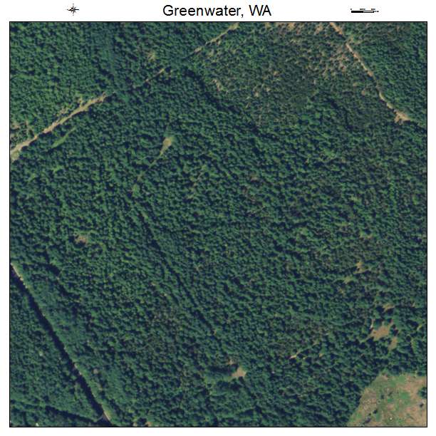Greenwater, Washington aerial imagery detail