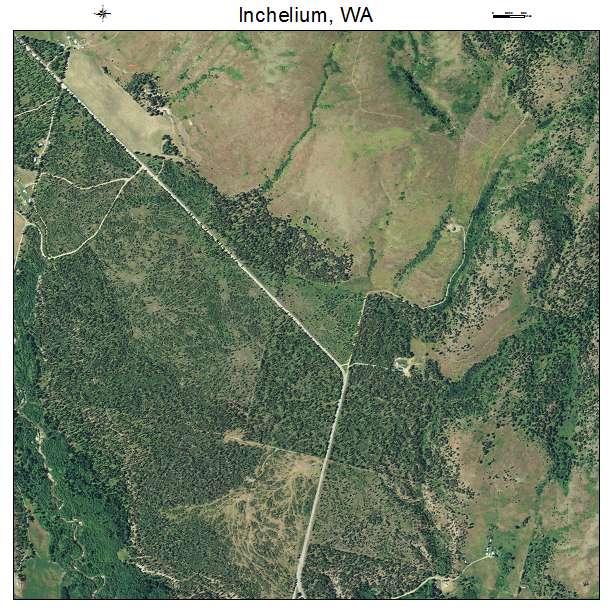 Inchelium, Washington aerial imagery detail