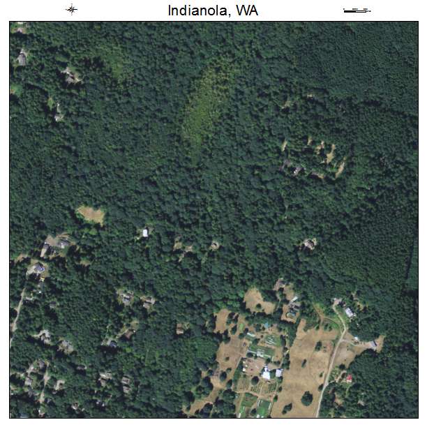 Indianola, Washington aerial imagery detail