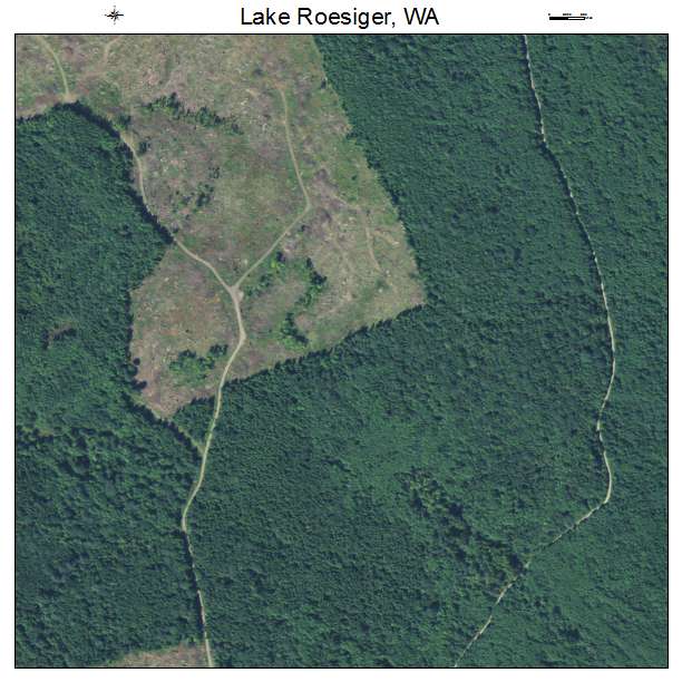 Lake Roesiger, Washington aerial imagery detail