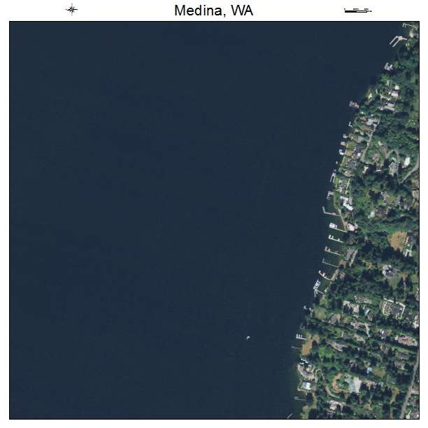 Medina, Washington aerial imagery detail