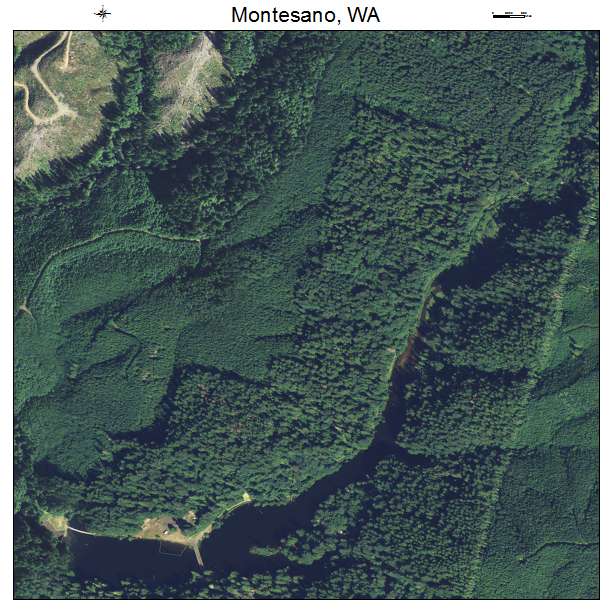 Montesano, Washington aerial imagery detail