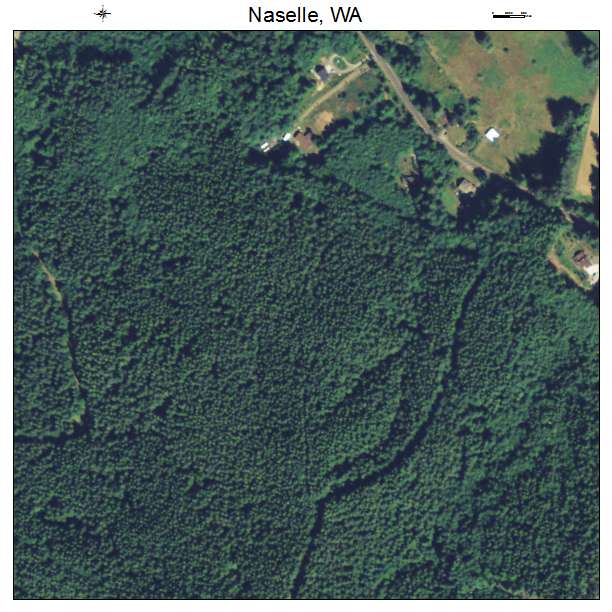 Naselle, Washington aerial imagery detail