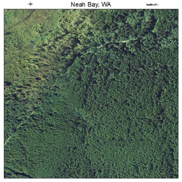 Neah Bay, Washington aerial imagery detail