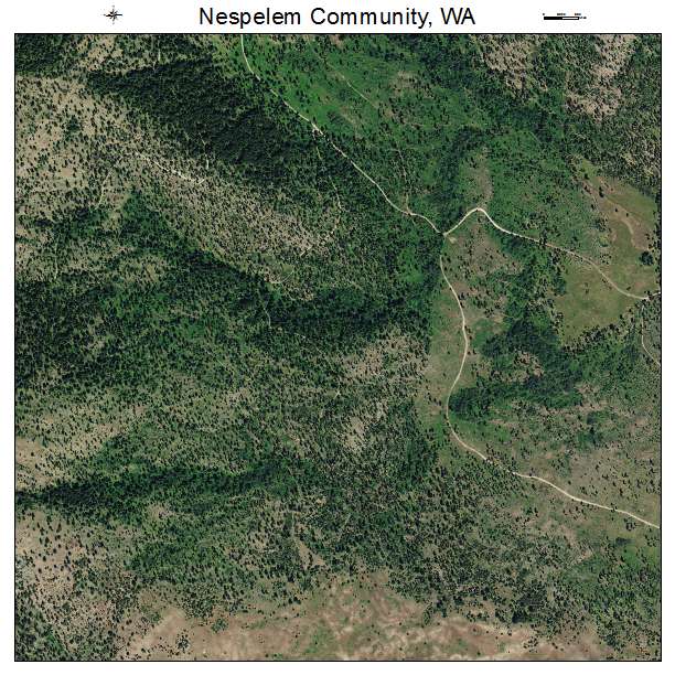 Nespelem Community, Washington aerial imagery detail