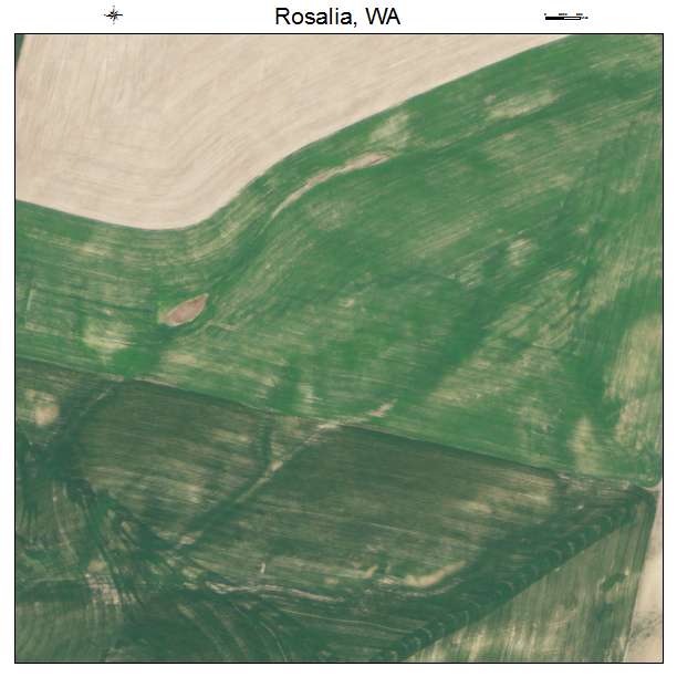 Rosalia, Washington aerial imagery detail
