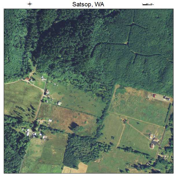 Satsop, Washington aerial imagery detail