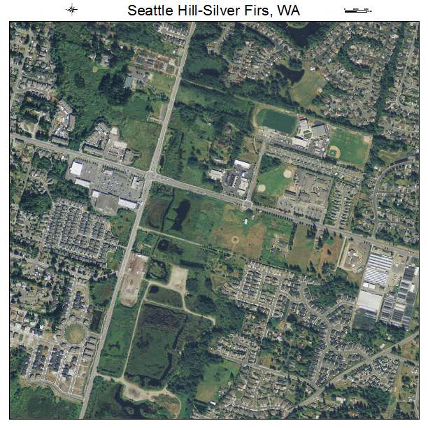 Seattle Hill Silver Firs, Washington aerial imagery detail