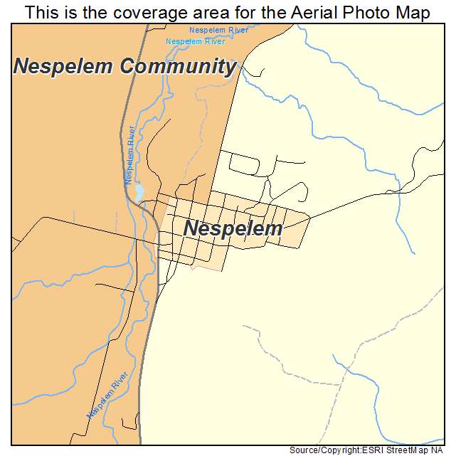 Nespelem, WA location map 