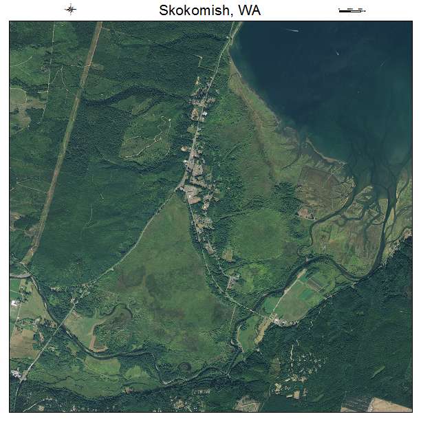 Skokomish, WA air photo map