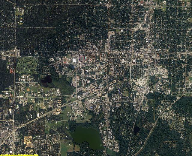 Alachua County, Florida aerial photography