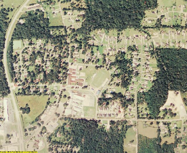 Livingston County, LA aerial photography detail