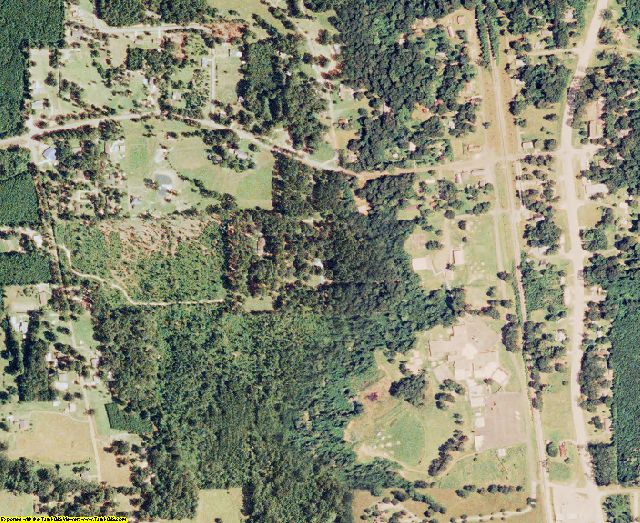 Sabine County, LA aerial photography detail