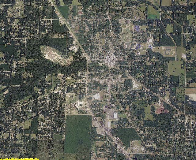 Taylor County, Florida aerial photography