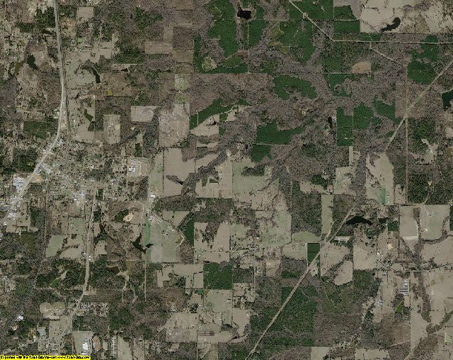 Cass County, Texas aerial photography