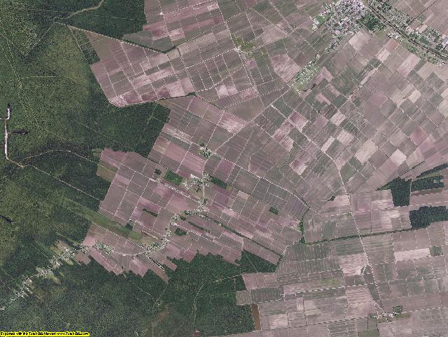 Assumption County, Louisiana aerial photography