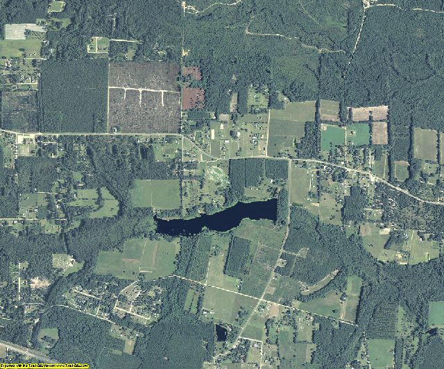 Brantley County, Georgia aerial photography