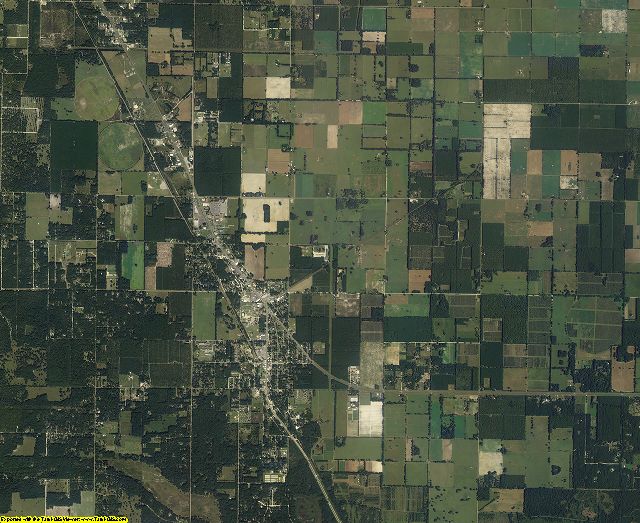 Levy County, Florida aerial photography