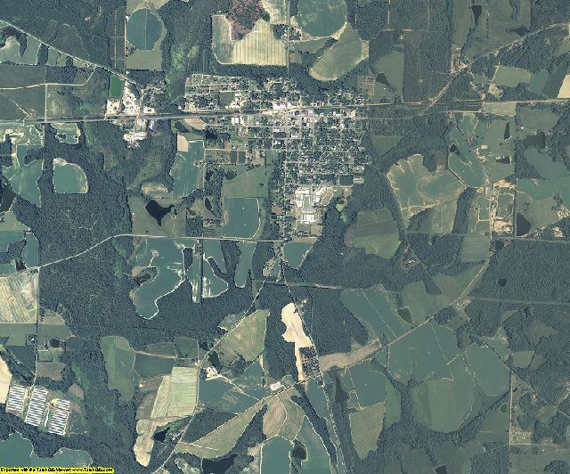 Wilcox County, Georgia aerial photography