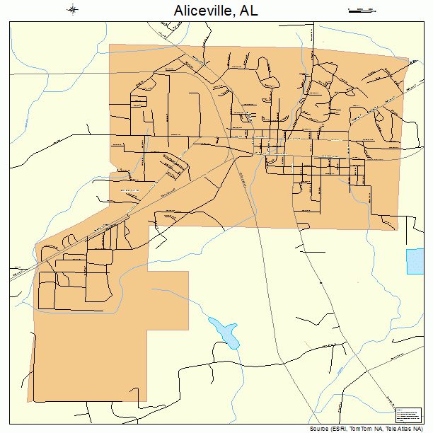 Aliceville, AL street map