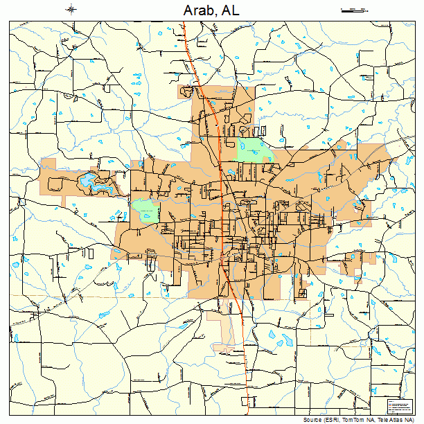 Arab, AL street map