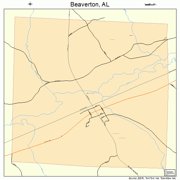 Beaverton, AL street map