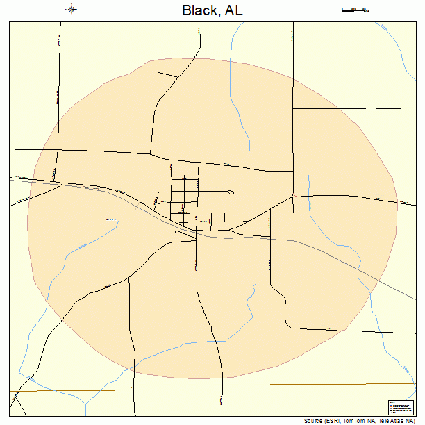 Black, AL street map