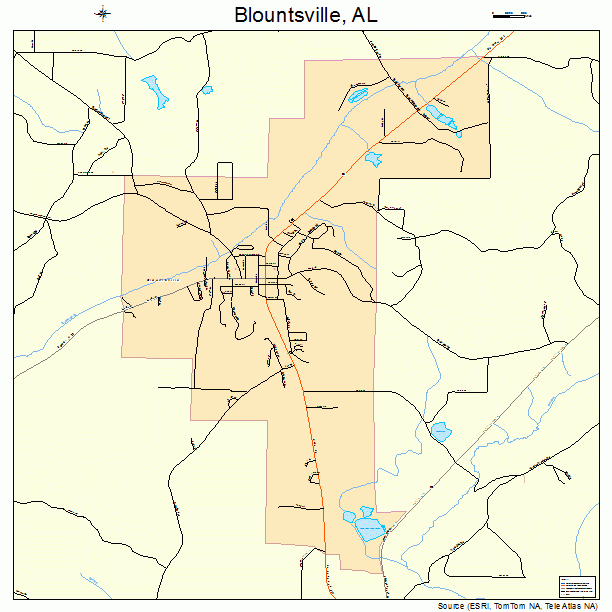 Blountsville, AL street map