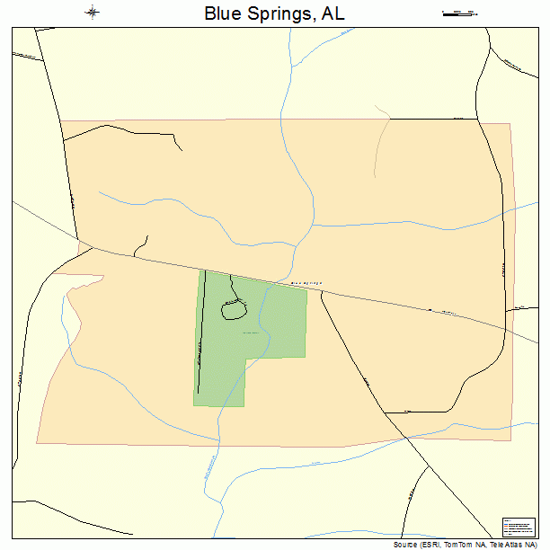 Blue Springs, AL street map