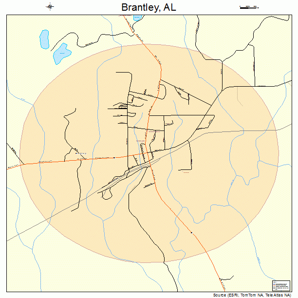 Brantley, AL street map