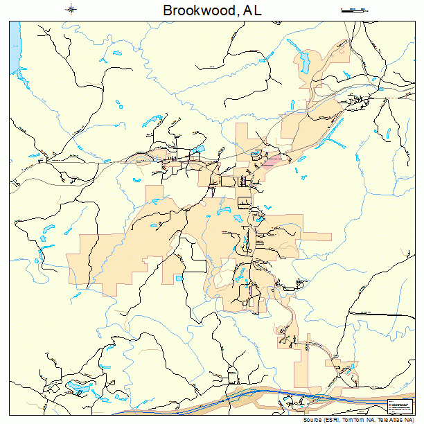 Brookwood, AL street map