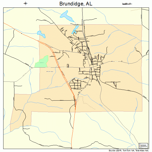 Brundidge, AL street map
