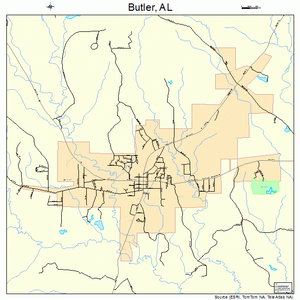 Butler, AL street map