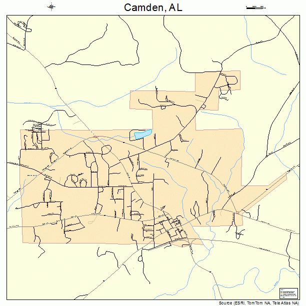 Camden, AL street map