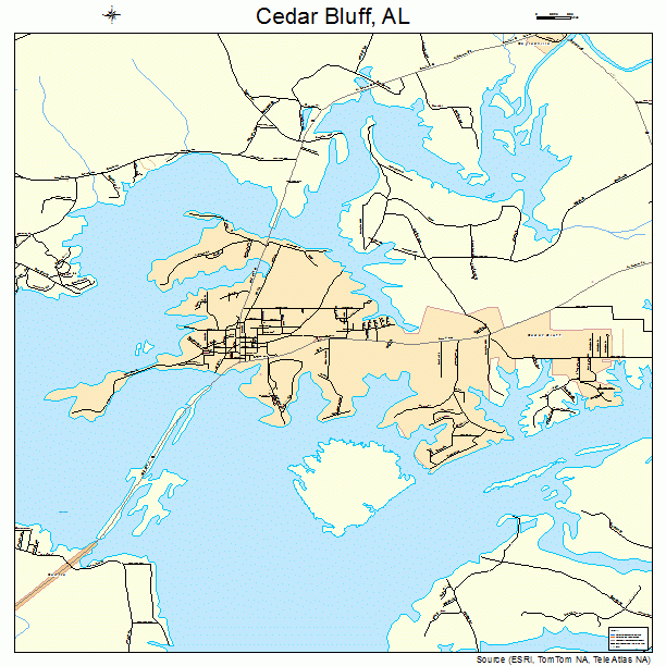 Cedar Bluff, AL street map