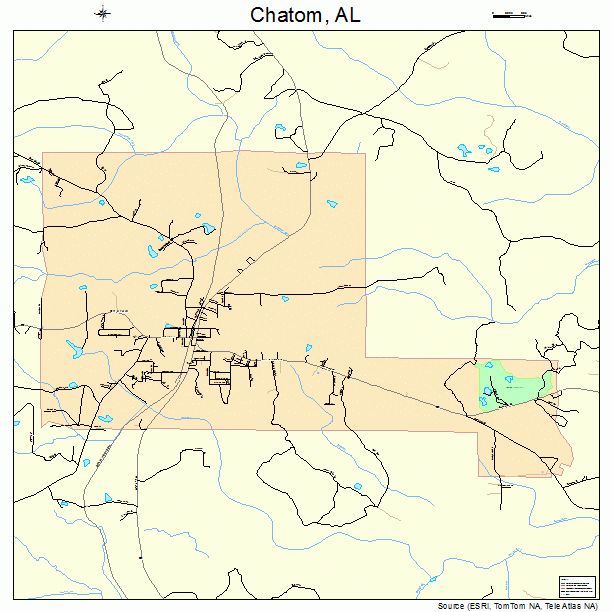 Chatom, AL street map