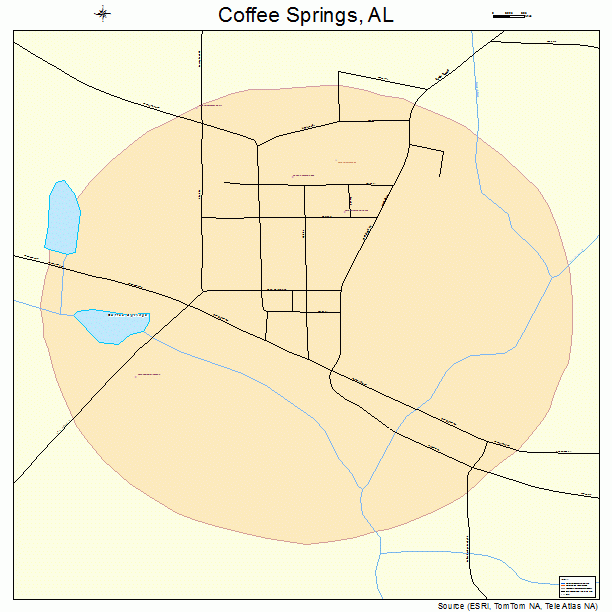 Coffee Springs, AL street map