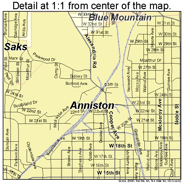Anniston, Alabama road map detail