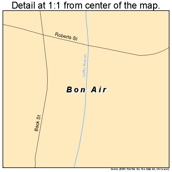 Bon Air, Alabama road map detail