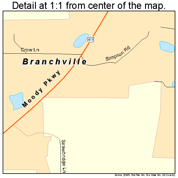 Branchville, Alabama road map detail