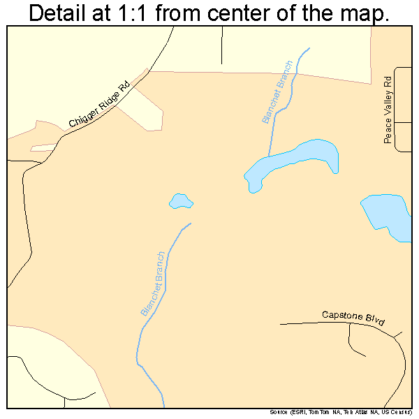 Brookwood, Alabama road map detail