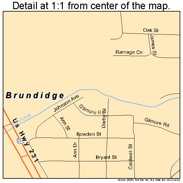 Brundidge, Alabama road map detail
