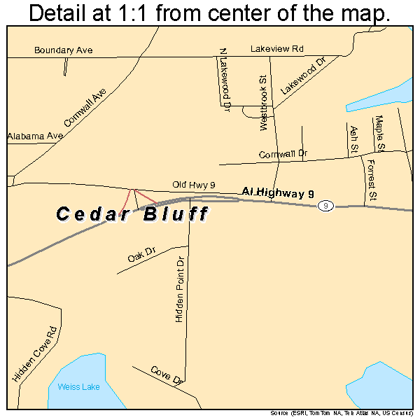 Cedar Bluff, Alabama road map detail