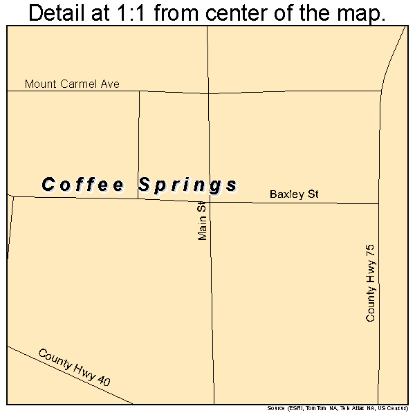 Coffee Springs, Alabama road map detail